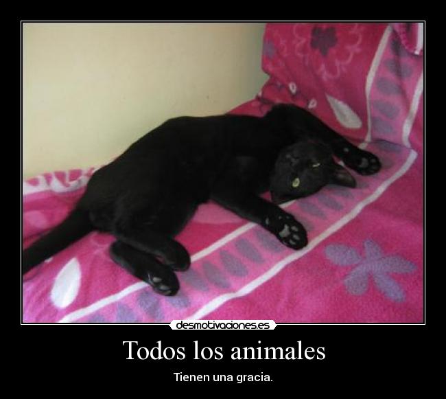 Todos los animales -