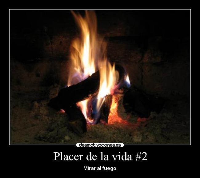 carteles vida placer vida mirar fuego desmotivaciones