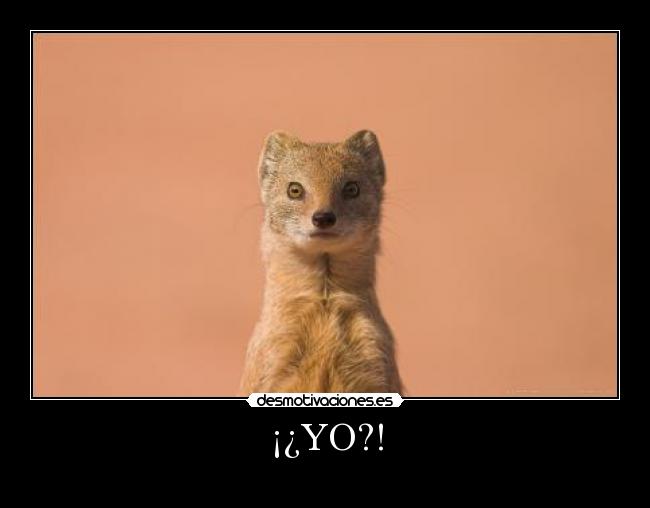 ¡¿YO?! - 