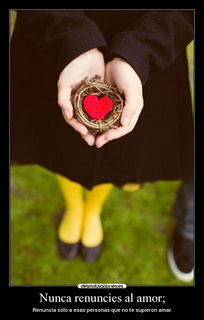 Nunca renuncies al amor; - 