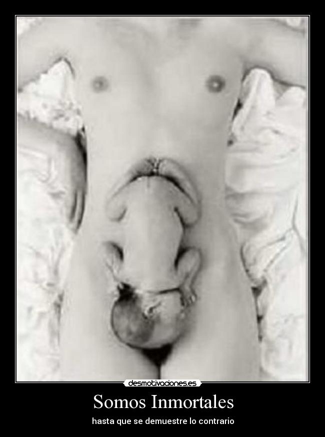 Somos Inmortales - hasta que se demuestre lo contrario