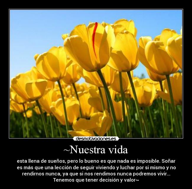 ~Nuestra vida -