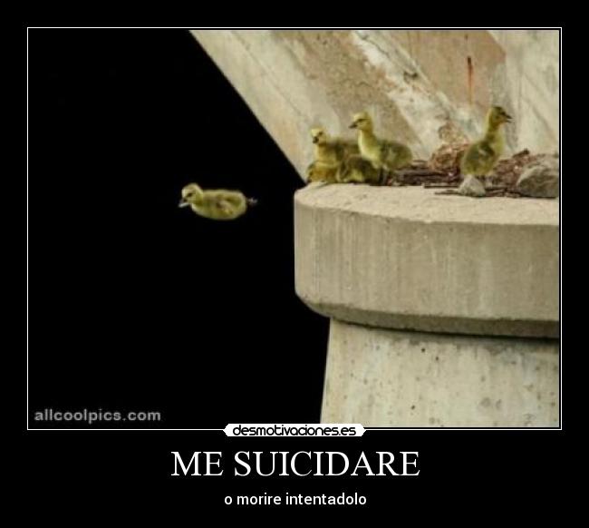 ME SUICIDARE - 