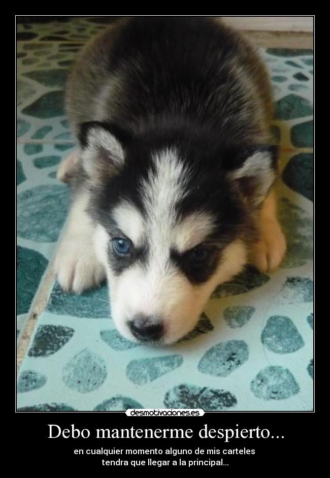 Debo mantenerme despierto... - en cualquier momento alguno de mis carteles 
tendra que llegar a la principal...