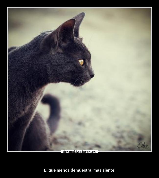 - El que menos demuestra, más siente.