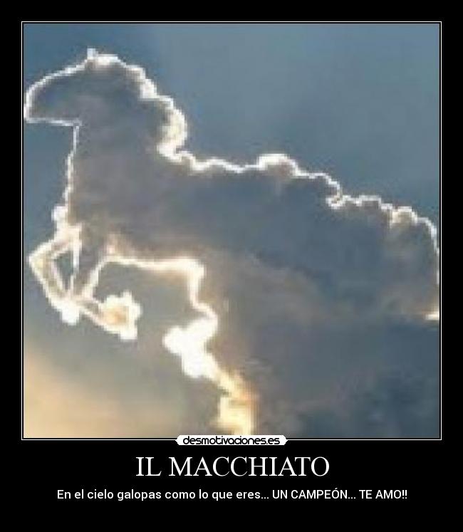IL MACCHIATO - En el cielo galopas como lo que eres... UN CAMPEÓN... TE AMO!!