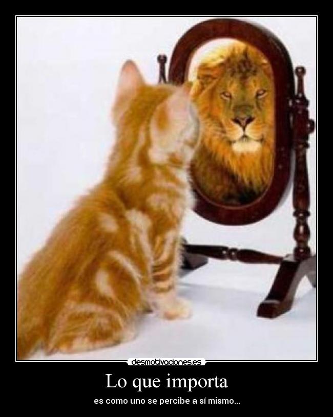 carteles autoestima desmotivaciones