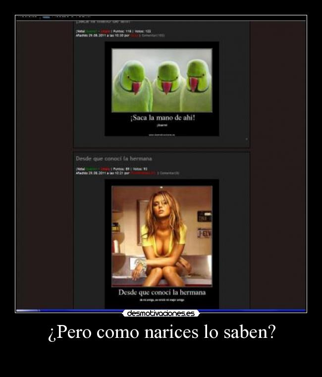 ¿Pero como narices lo saben? -