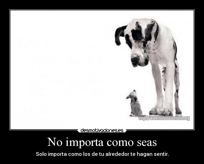 No importa como seas -