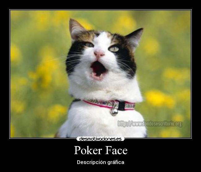 Poker Face - Descripción gráfica