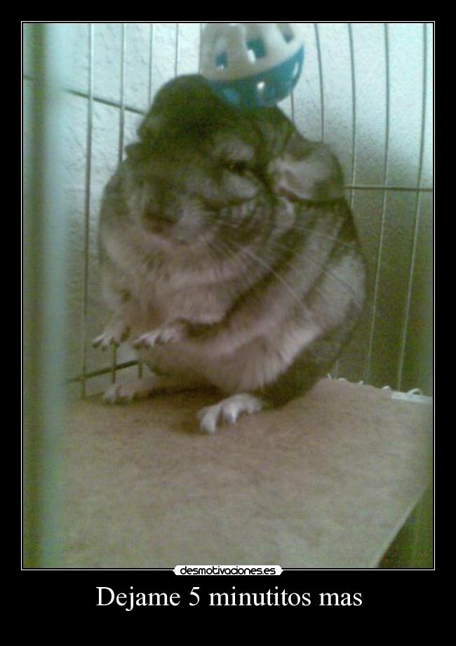 Dejame 5 minutitos mas -