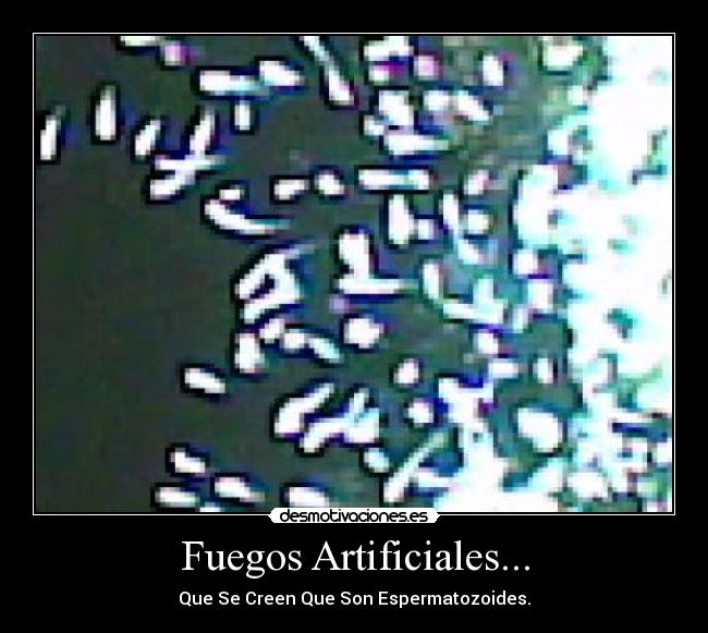 Fuegos Artificiales... -