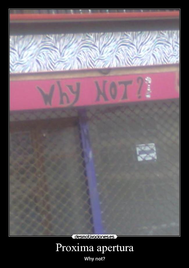 Proxima apertura - Why not?