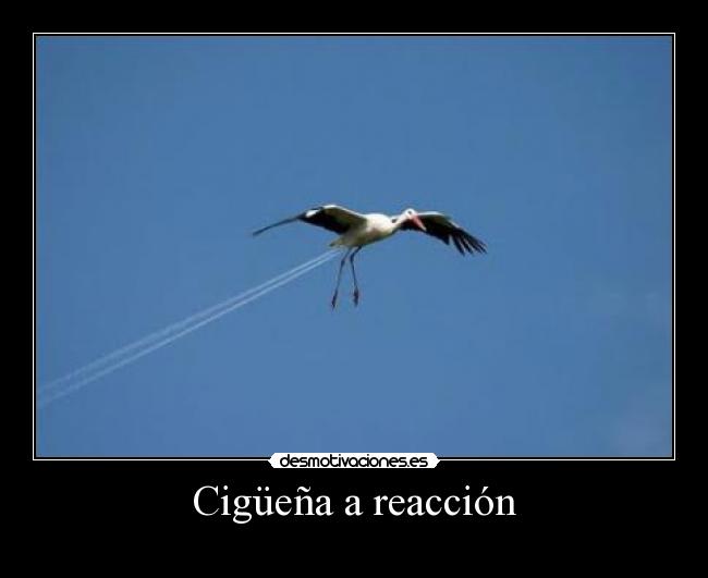 carteles fefeeeweweewewewew desmotivaciones