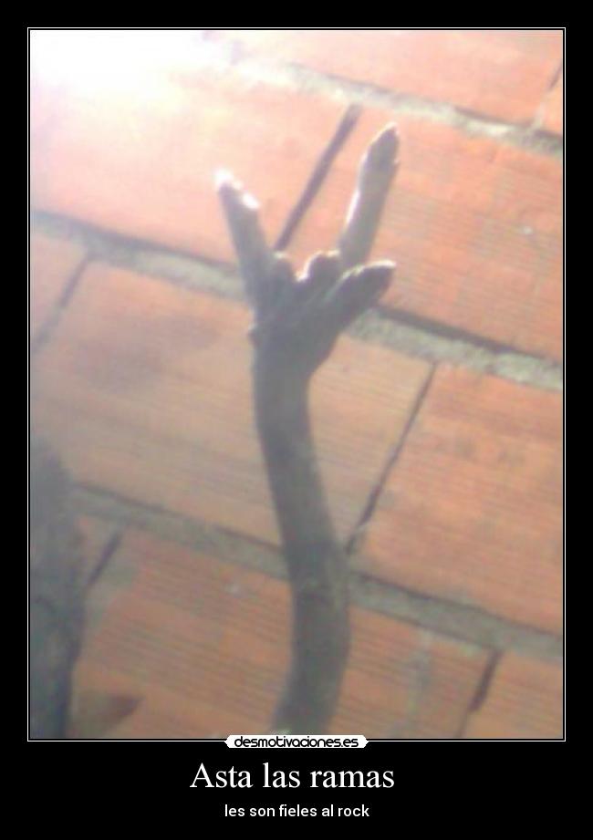 Asta las ramas - les son fieles al rock