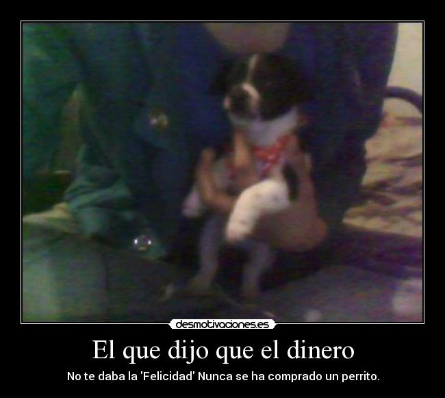 carteles dinero perrito desmotivaciones