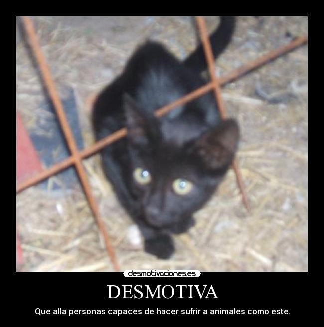 DESMOTIVA - 