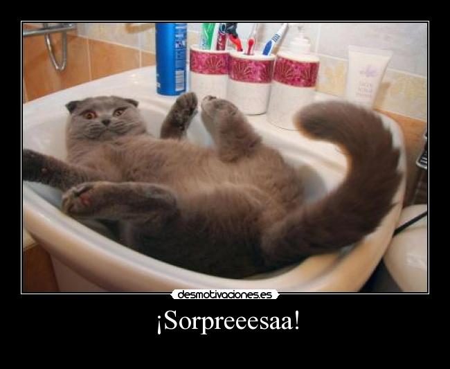 ¡Sorpreeesaa! -