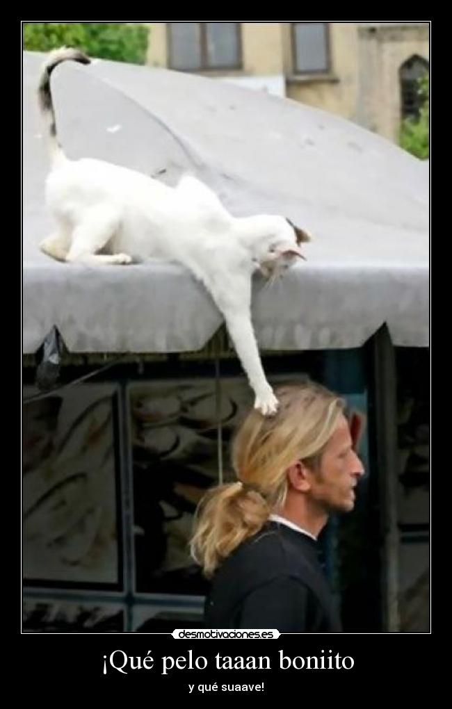 ¡Qué pelo taaan boniito - y qué suaave!