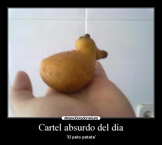 Cartel absurdo del día -