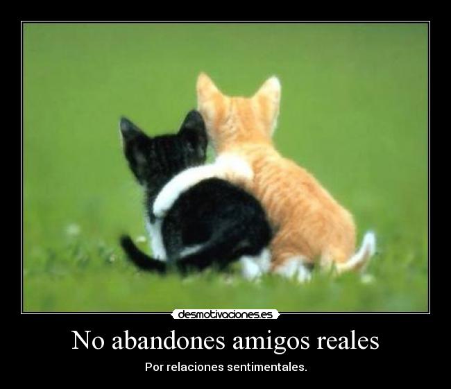 No abandones amigos reales -
