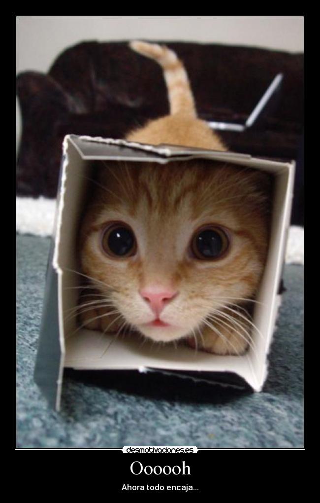 Oooooh - Ahora todo encaja...