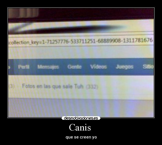 Canis -