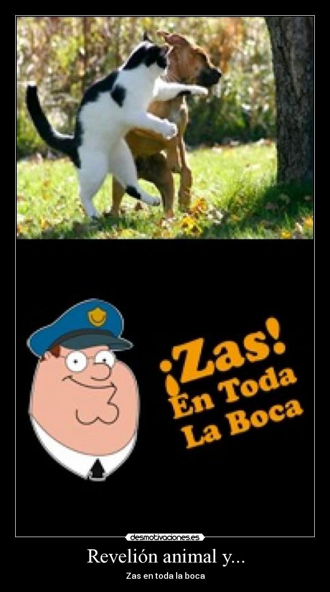 carteles zas toda boca desmotivaciones