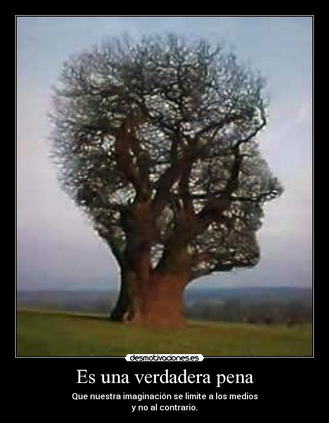 Es una verdadera pena - 