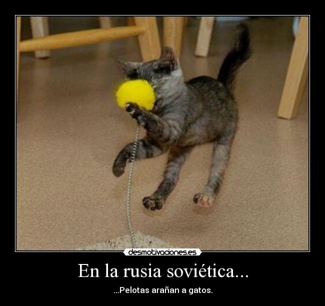 En la rusia soviética... -