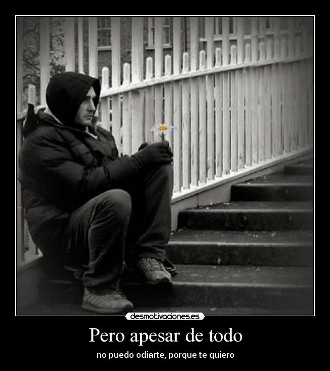 Pero apesar de todo - no puedo odiarte, porque te quiero