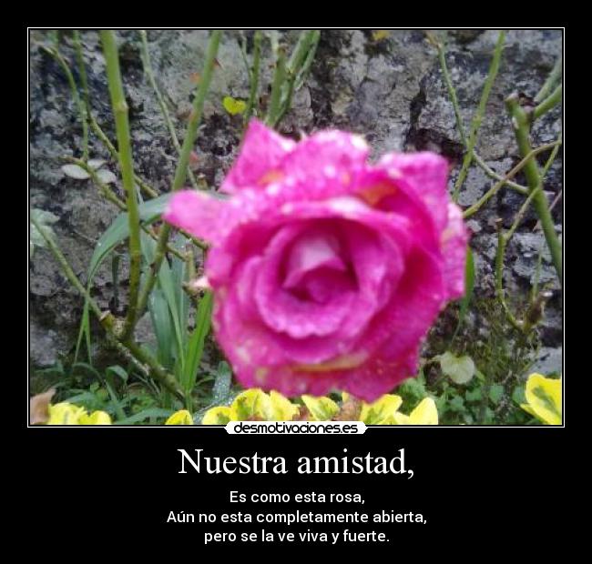 Nuestra amistad, -