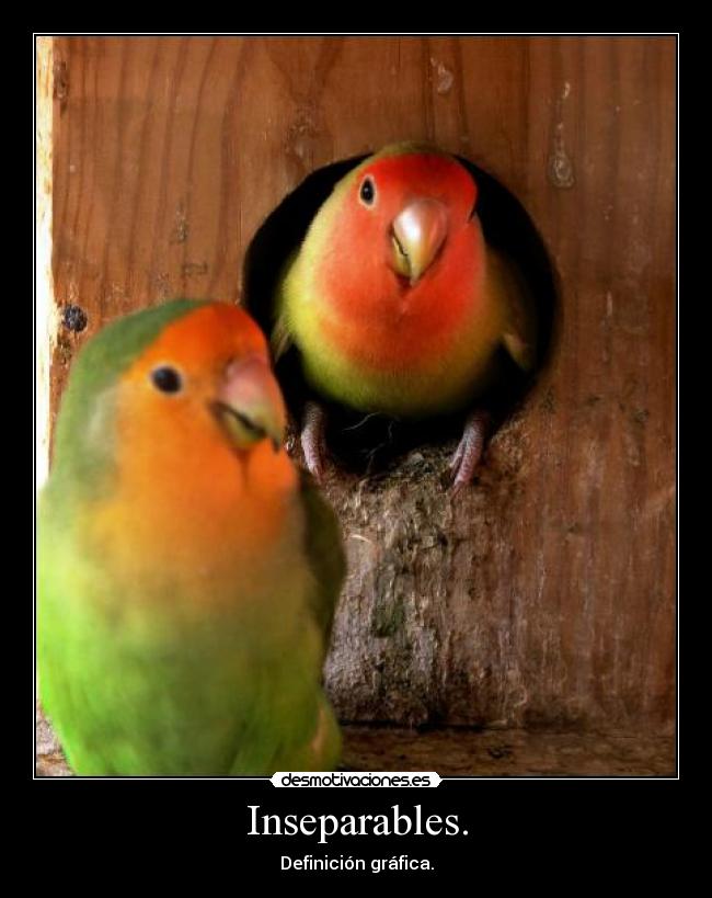 Inseparables. - Definición gráfica.