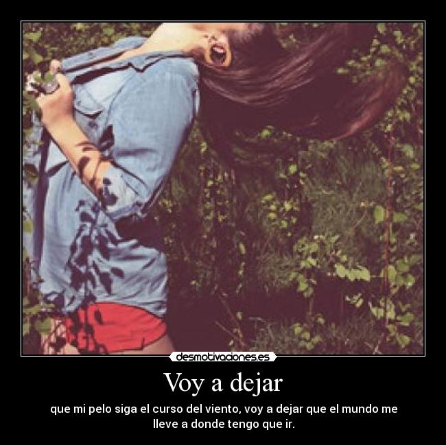 Voy a dejar -
