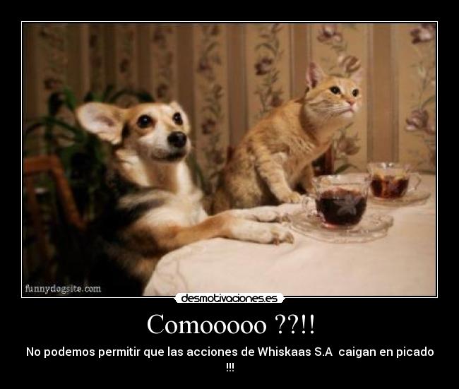 Comooooo ??!! - No podemos permitir que las acciones de Whiskaas S.A  caigan en picado !!!