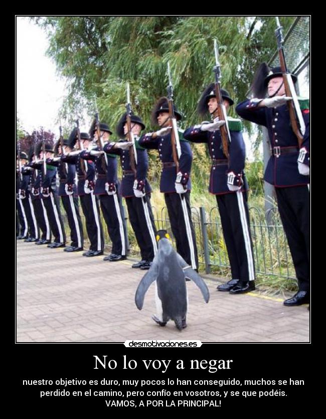 No lo voy a negar - 