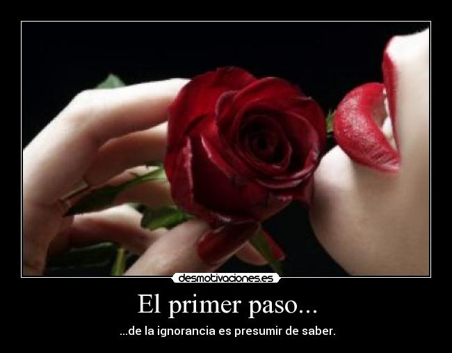 carteles primer paso desmotivaciones