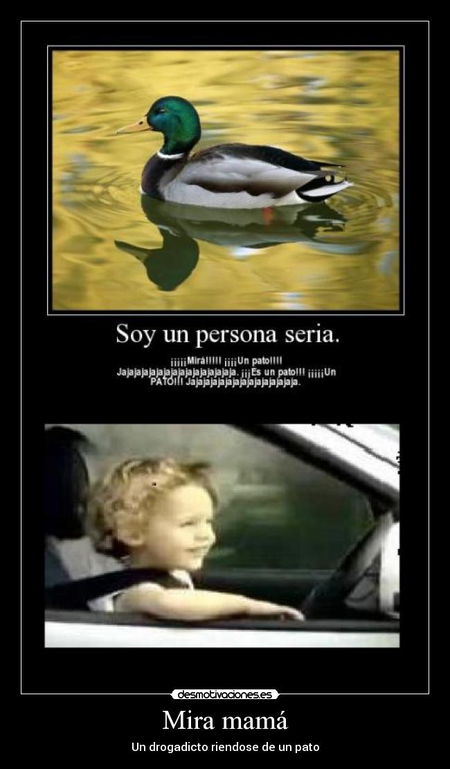 Mira mamá - Un drogadicto riendose de un pato