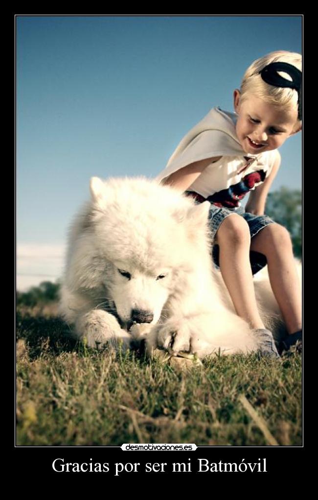 Gracias por ser mi Batmóvil -