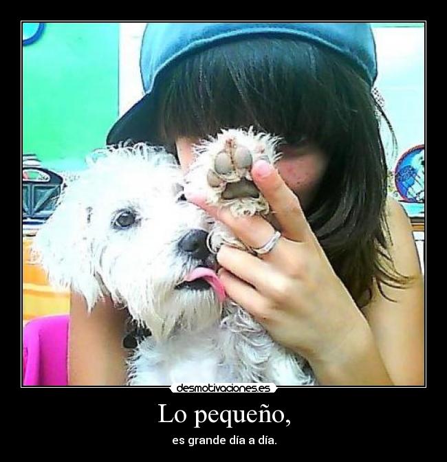 Lo pequeño, -