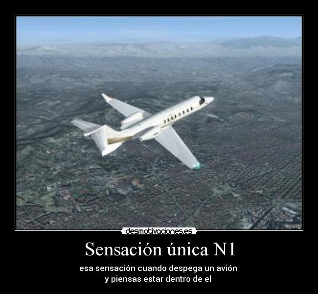 Sensación única N1 - 