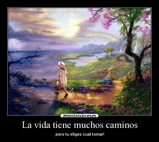 La vida tiene muchos caminos - pero tu eliges cual tomar!