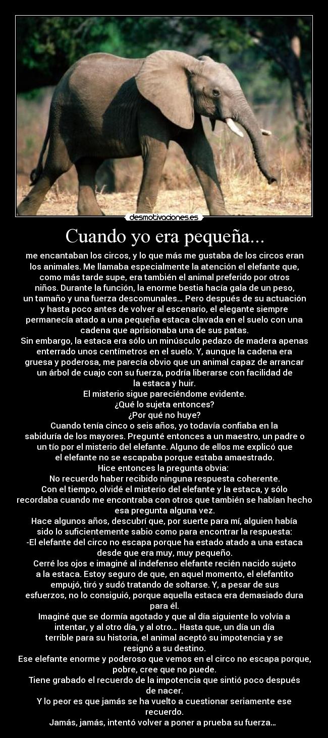 Cuando yo era pequeña... - me encantaban los circos, y lo que más me gustaba de los circos eran
los animales. Me llamaba especialmente la atención el elefante que,
como más tarde supe, era también el animal preferido por otros
niños. Durante la función, la enorme bestia hacía gala de un peso,
un tamaño y una fuerza descomunales… Pero después de su actuación
y hasta poco antes de volver al escenario, el elegante siempre
permanecía atado a una pequeña estaca clavada en el suelo con una
cadena que aprisionaba una de sus patas.
Sin embargo, la estaca era sólo un minúsculo pedazo de madera apenas
enterrado unos centímetros en el suelo. Y, aunque la cadena era
gruesa y poderosa, me parecía obvio que un animal capaz de arrancar
un árbol de cuajo con su fuerza, podría liberarse con facilidad de
la estaca y huir.
El misterio sigue pareciéndome evidente.
¿Qué lo sujeta entonces?
¿Por qué no huye?
Cuando tenía cinco o seis años, yo todavía confiaba en la
sabiduría de los mayores. Pregunté entonces a un maestro, un padre o
un tío por el misterio del elefante. Alguno de ellos me explicó que
el elefante no se escapaba porque estaba amaestrado.
Hice entonces la pregunta obvia: 
No recuerdo haber recibido ninguna respuesta coherente.
Con el tiempo, olvidé el misterio del elefante y la estaca, y sólo
recordaba cuando me encontraba con otros que también se habían hecho
esa pregunta alguna vez.
Hace algunos años, descubrí que, por suerte para mí, alguien había
sido lo suficientemente sabio como para encontrar la respuesta:
-El elefante del circo no escapa porque ha estado atado a una estaca
desde que era muy, muy pequeño.
Cerré los ojos e imaginé al indefenso elefante recién nacido sujeto
a la estaca. Estoy seguro de que, en aquel momento, el elefantito
empujó, tiró y sudó tratando de soltarse. Y, a pesar de sus
esfuerzos, no lo consiguió, porque aquella estaca era demasiado dura
para él.
Imaginé que se dormía agotado y que al día siguiente lo volvía a
intentar, y al otro día, y al otro… Hasta que, un día un día
terrible para su historia, el animal aceptó su impotencia y se
resignó a su destino.
Ese elefante enorme y poderoso que vemos en el circo no escapa porque,
pobre, cree que no puede.
Tiene grabado el recuerdo de la impotencia que sintió poco después
de nacer.
Y lo peor es que jamás se ha vuelto a cuestionar seriamente ese
recuerdo.
Jamás, jamás, intentó volver a poner a prueba su fuerza… 