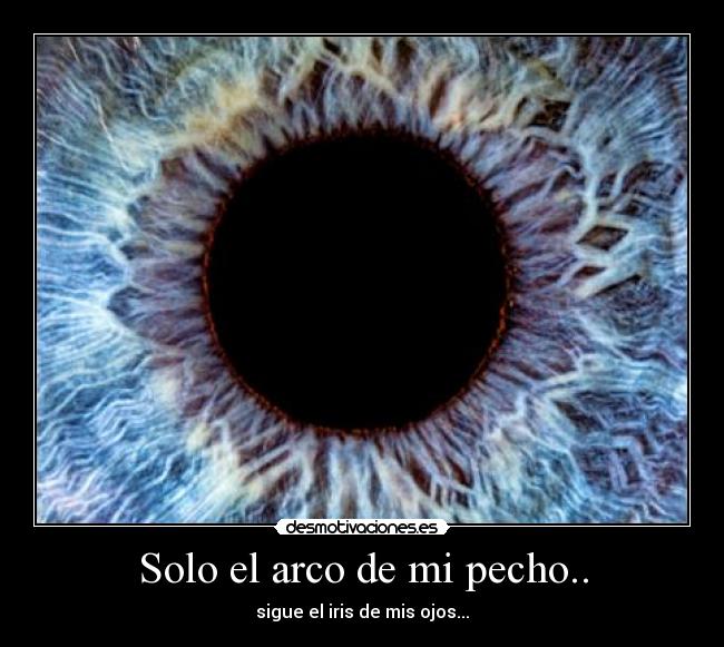 Solo el arco de mi pecho.. - sigue el iris de mis ojos...