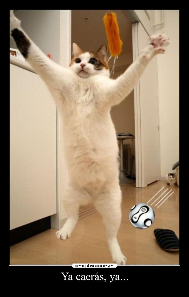 Ya caerás, ya... - 