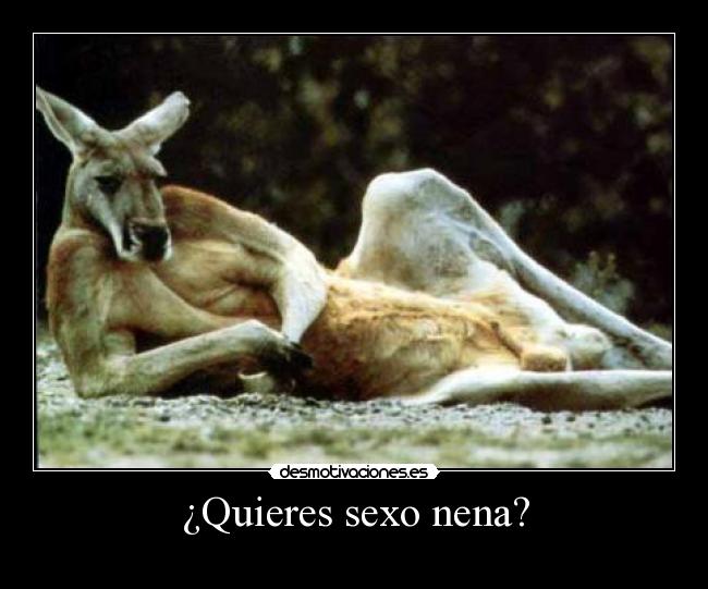 carteles sexo quieres sexo nena desmotivaciones