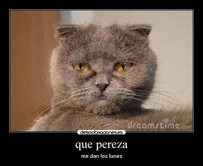 que pereza - me dan los lunes
