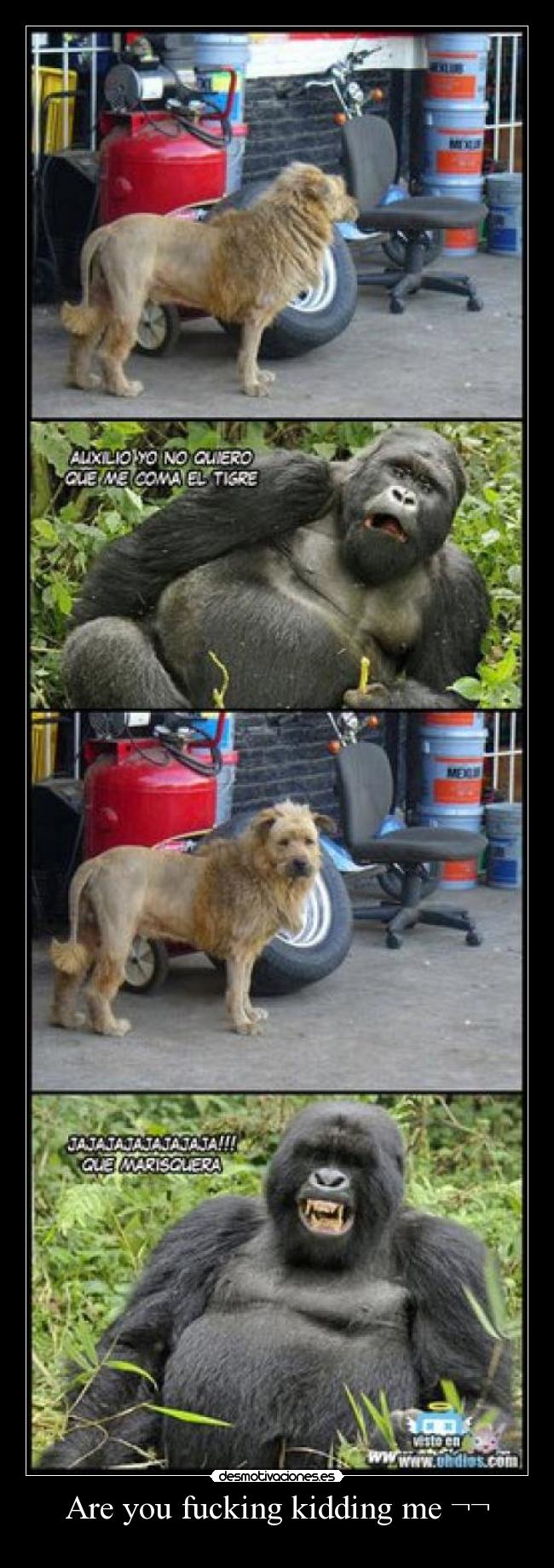 Are you fucking kidding me ¬¬ -