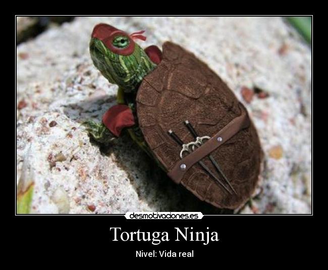 Tortuga Ninja -