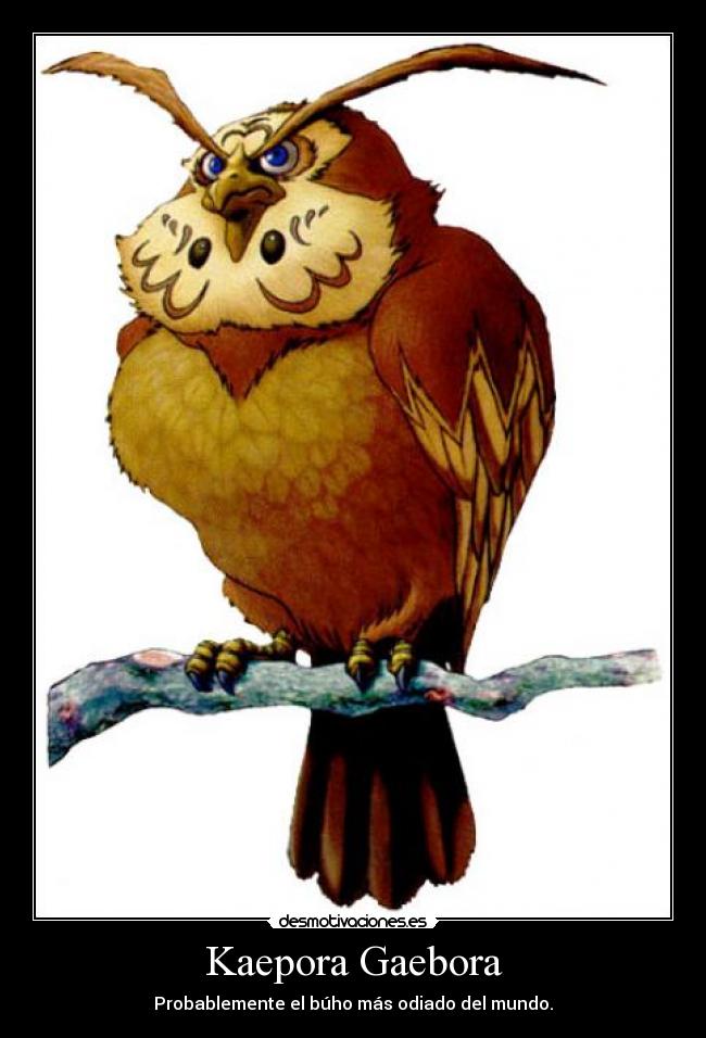 Kaepora Gaebora -
